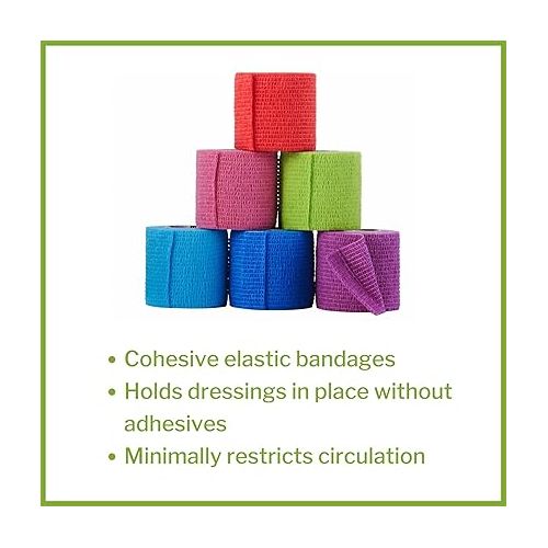  McKesson Elastic Cohesive Bandages, Multi-Color, Non-Sterile, 2 in x 5 yds, 1 Count, 36 Packs, 36 Total