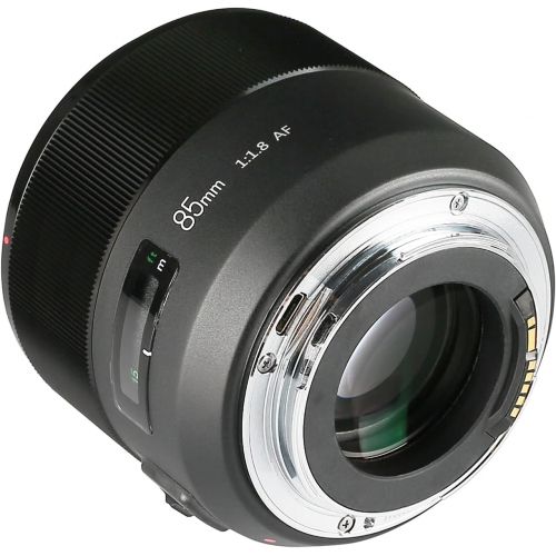  Meike 85mm f1.8 Large Aperture Full Frame Auto Focus Telephoto Lens for Canon EOS EF Mount Digital SLR Camera Compatible with APS C Bodies Such as 1D 5D3 5D4 6D 7D 70D 550D 80D