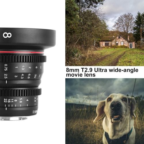  Meike 8mm T2.9 Mini Fixed Prime Manual Focus Wide-Angle Cinema Lens for M43 Micro Four Thirds MFT Mount Cameras BMPCC 4K Z CAM E1 E2 Black