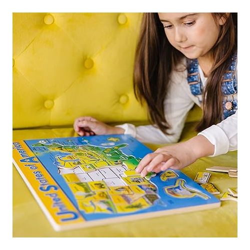  Melissa & Doug USA Map Wooden Puzzle (45 pcs)