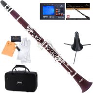 Mendini by Cecilio MCT-30 Rosewood Bb Clarinet wSilver Plated Keys, Italian Pads, 1 Year Warranty, Stand, Tuner, 10 Reeds, Pocketbook, Mouthpiece, Case, B Flat