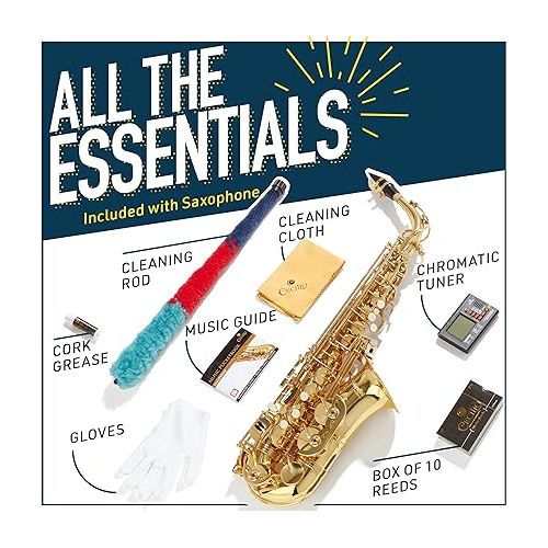 Mendini By Cecilio Eb Alto Saxophone - Case, Tuner, Mouthpiece, 10 Reeds, Pocketbook - Gold & Nickel E Flat Musical Instruments