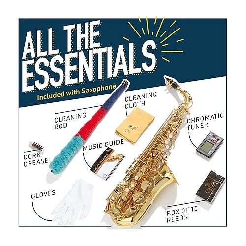  Mendini By Cecilio Eb Alto Saxophone - Case, Tuner, Mouthpiece, 10 Reeds, Pocketbook - Black & NickelE Flat Musical Instruments