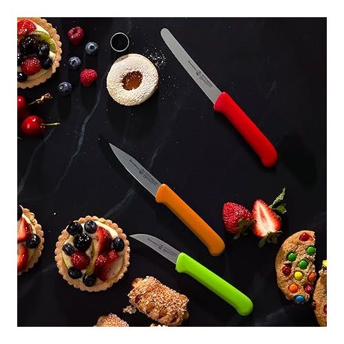  Messermeister Petite Messer Parer Trio Set with Matching Sheath, Blue - Includes 2.5” Bird's Beak Parer, 3” Clip Point Parer & 4.5” Serrated Tomato Knife - Lightweight & Rust Resistant