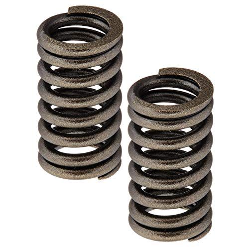  Metabo 882913M Head Valve Spring Replacement Part - 2 Pack, Works with Hitachi Power Tools
