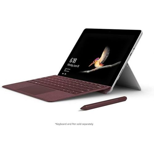  Microsoft Surface Go (Intel Pentium Gold, 4GB RAM, 64GB)