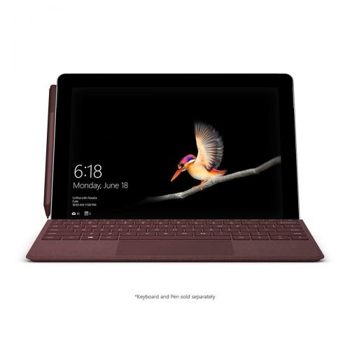  New Microsoft Surface Go (Intel Pentium Gold, 4GB RAM, 64GB)