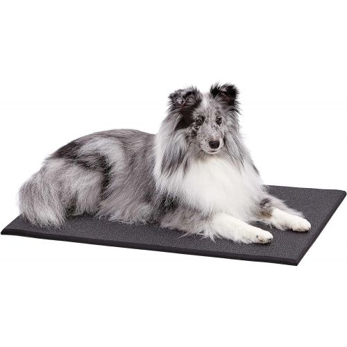  MidWest Homes for Pets Dog Crate Cushioned Pet Mat