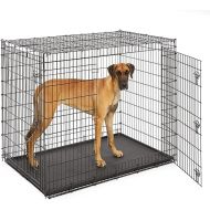 Midwest Homes for Pets Ginormous Double Door 54-Inch Dog Crate for XXL Dogs Breeds; Great Dane, Mastiff, St. Bernard, Drop Pin Assembly Requires Two People; Divider Panel Not Included; Black: SL54DD