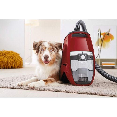  [아마존베스트]Miele Blizzard CX1 HomeCare Bagless Canister Vacuum, Autumn Red