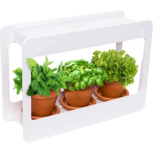  Visit the Mindful Design Store Mindful Design LED Indoor Herb Garden - at Home Mini Window Planter Kit for Herbs, Succulents, and Vegetables (White)