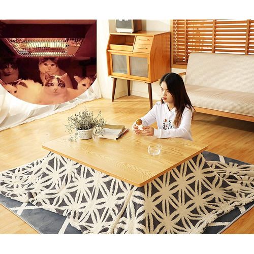  MingrXieh Heating Table Tatami Kotatsu Table,Japanese Stove Heated Table,Solid Wood Tatami Heater,Square Futon Table,Heater/Blanket/Carpet (Color : Log Color Table)