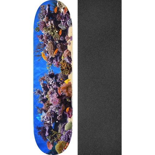 Mini Logo Fish Tank Skateboard Deck 291/K-20-7.75 x 31.08 with Mob Grip Perforated Black Griptape - Bundle of 2 Items