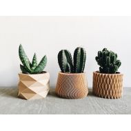 MinimumDesign Set of 3 small wood planters / Perfect for succulents or cacti / Geometric and minimalist design