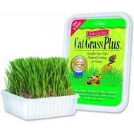Miracle Care Cat-About by MiracleCorp Gimborn Single Cat Grass Plus, 60-Gram