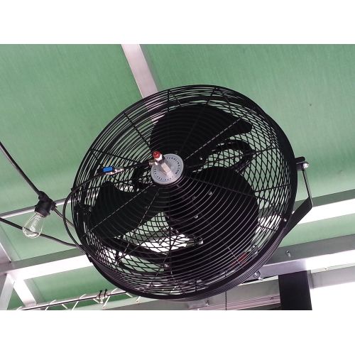  Mistcooling Outdoor Fan - Industrial Fans - 18, 24 and 30 Inch Fans (24 Inch Oscillating - Black)