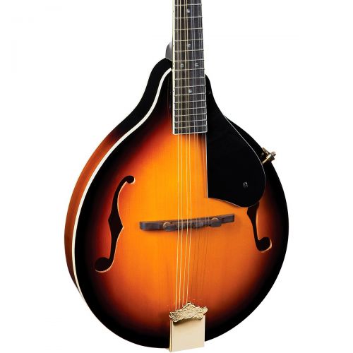  Mitchell},description:The A-style Mitchell AM100VS Mandolin offers visual brilliance and quality craftsmanship in a striking package. The AM100VS mandolin is equipped with a solid