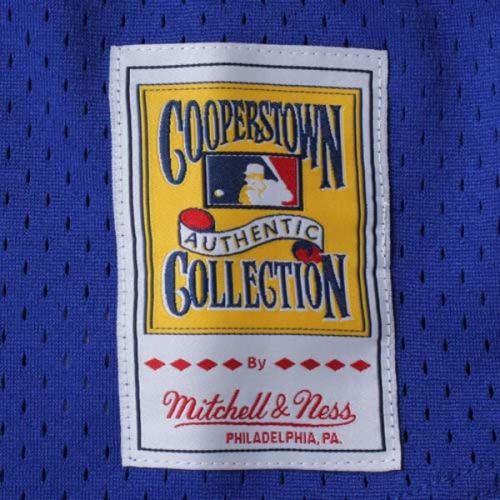  Mitchell & Ness Men's Toronto Blue Jays Joe Carter Mitchell & Ness Royal 1993 Authentic Cooperstown Collection Mesh Batting Practice Jersey