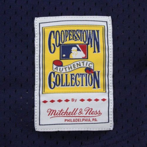  Mitchell & Ness Men's Detroit Tigers Alan Trammell Mitchell & Ness Navy 1984 Authentic Copperstown Collection Mesh Batting Practice Jersey