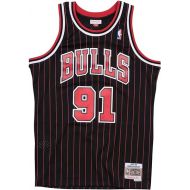 Mitchell & Ness Dennis Rodman Chicago Bulls NBA Swingman 95-96 Jersey -Pinstripe