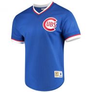 Mitchell & Ness Men's Chicago Cubs Mitchell & Ness Royal Mesh V-Neck Jersey