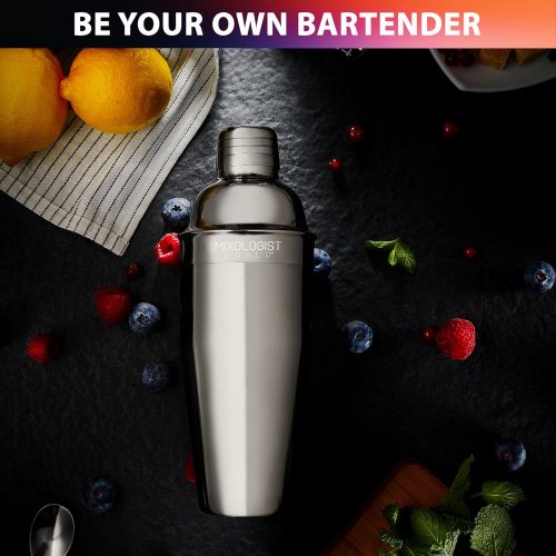  [아마존베스트]Mixologist World Mixology Cocktail Shaker with Recipes - 5 pieces Bartender Set 24 oz Bar Tool Kit Accessories - Stainless Steel Drink Mixer Built-in Strainer, Muddler, Mixing Spoon, Measuring Jigg