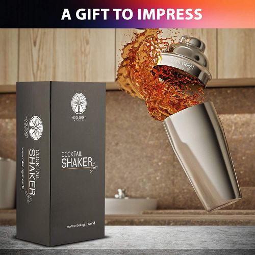  [아마존베스트]Mixologist World Mixology Cocktail Shaker with Recipes - 5 pieces Bartender Set 24 oz Bar Tool Kit Accessories - Stainless Steel Drink Mixer Built-in Strainer, Muddler, Mixing Spoon, Measuring Jigg