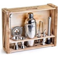 Mixology Bartender Kit: 11-Piece Bar Tool Set with Rustic Wood Stand | Perfect Home Bartending Kit and Cocktail Shaker Set for a True Drink Mixing Experience | Fun Housewarming Gift Idea (Silver)