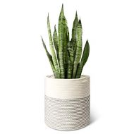 Mkono Cotton Rope Plant Basket Modern Indoor Planter Up to 11 Inch Pot Woven Storage Organizer with Handles Home Decor, 12 x 12