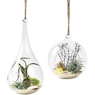 Visit the Mkouo Store Mkouo Glass Hanging Plant Terrarium Flower Vase Planter Air Plant Pot Container., transparent