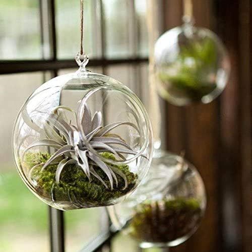  Visit the Mkouo Store Mkouo Glass Hanging Plant Terrarium Flower Vase Planter Air Plant Pot Container., transparent