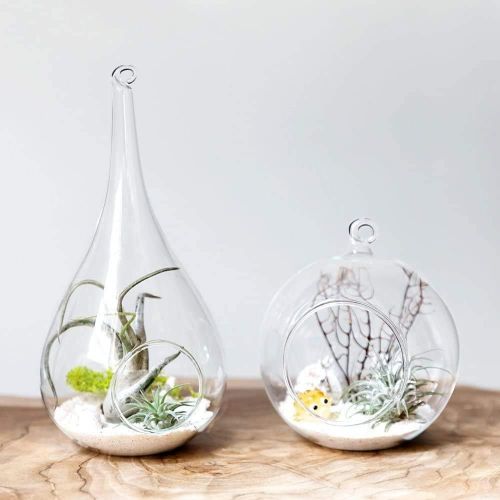  Visit the Mkouo Store Mkouo Glass Hanging Plant Terrarium Flower Vase Planter Air Plant Pot Container., transparent