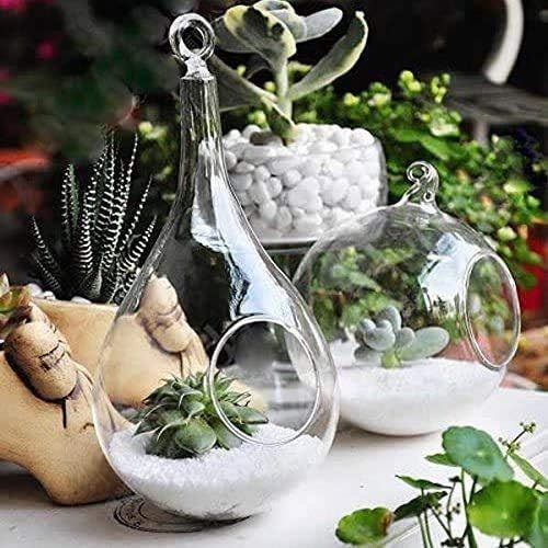  Visit the Mkouo Store Mkouo Glass Hanging Plant Terrarium Flower Vase Planter Air Plant Pot Container., transparent