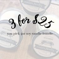 ModernForestry Candle Bundle, Soy Candles Handmade, Top Selling Items, Gratitude Jar, Be More Chill, Wholesale Sampler, Mason Candle.