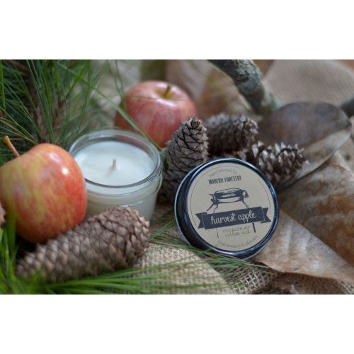  ModernForestry Candle Bundle, Soy Candles Handmade, Top Selling Items, Gratitude Jar, Be More Chill, Wholesale Sampler, Mason Candle.