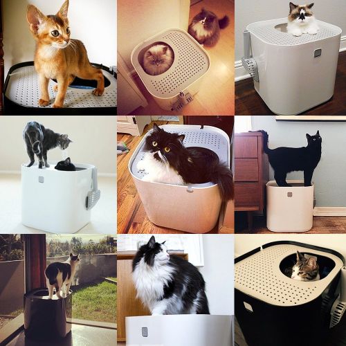  Modkat Litter Box, Top-Entry, Looks Great, Reduces Litter Tracking, Includes Scoop and Reusable Liner