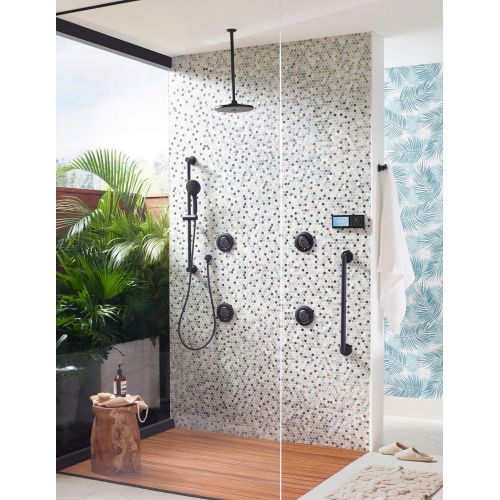  Moen TS1422 Mosaic Body Spray, Chrome,