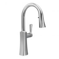 Moen S72608 Etch One-Handle High Arc Pulldown Kitchen Faucet Featuring Reflex, Chrome