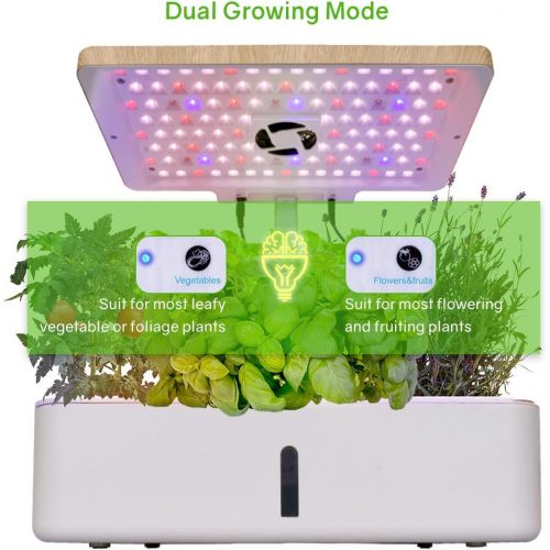  Moistenland Hydroponics Growing System,Indoor Herb Garden Starter Kit w/LED Grow Light,Plant Germination Kits 12 Plant Pots for Home Kitchen Gardening (12 Pots)