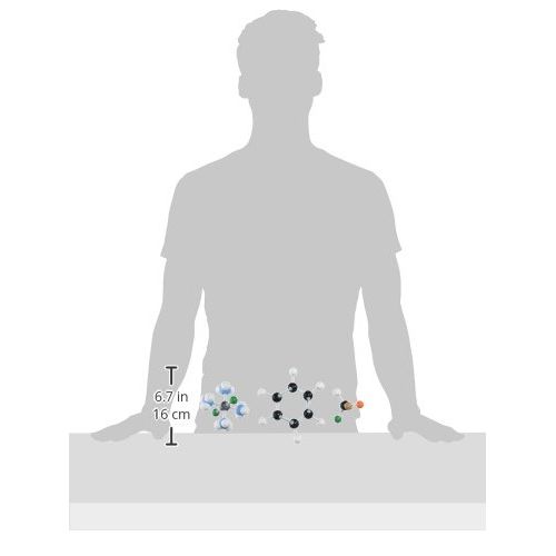  Molecular Models Company Molecular Models 214 Piece Organic and Stereochemistry Set