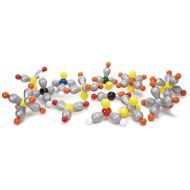 Molecular Models Company Molecular Models 56 Piece Super Size VSEPR Theory Models Kit