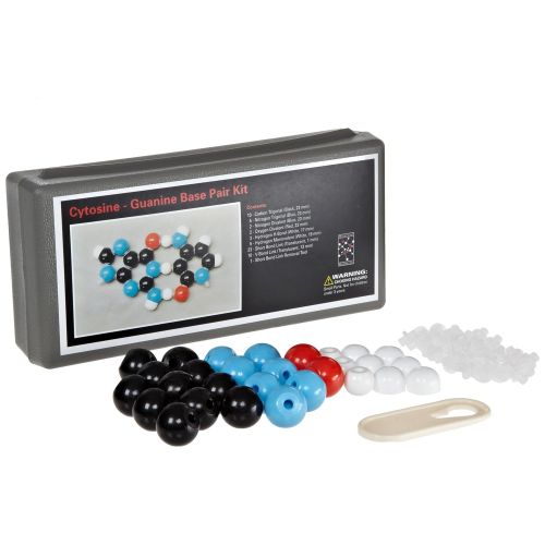  Molecular Models Company Molecular Models 14-CGP372 Cytosine Guanine Base Pair DNA Molecular Model Kit