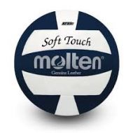 Molten Soft Touch NFHS Approved USA Volleyball Genuine Leather Indoor Volleyball Color: Blue