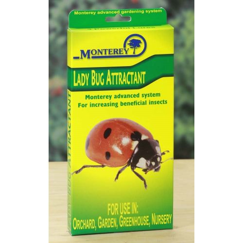  Monteray Monterey LG8510 Lady Bug Lure, Pack of 3