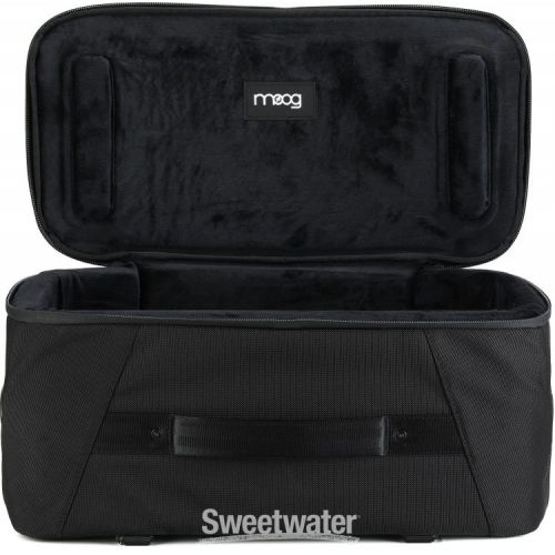  Moog SR Case for Claravox Centennial Theremin