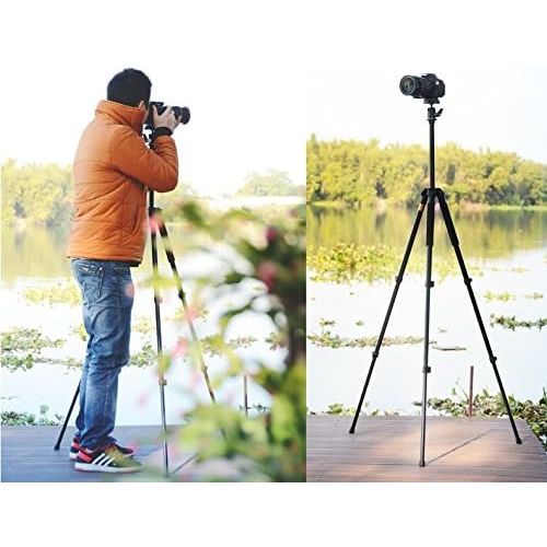  Morjava Q308 Professional Photographic Portable Mini Tripod for Canon Camera with Aluminum Alloy Tripods for Gopro Accessories