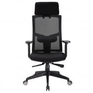 Moroly High Back Office Chair with Armrest and Headrest Ergonomic Mesh Chair