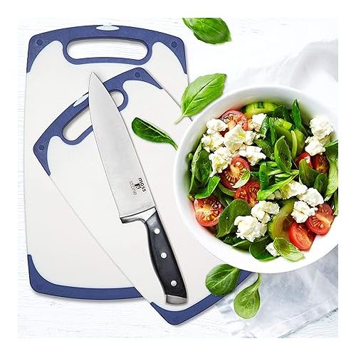  Moss & Stone 2 Piece Cutting Boards for Kitchen & Chef Knife, Polypropylene and Dishwasher Safe, 2 Chopping Board with Grip Handle BPA-Free