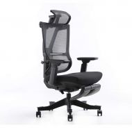 Motostuhl Ergonomic Chair Back Mesh Chair with Adjustable Armrests Weight Sensor Mechanism Executive Office Chair Black Mission 1