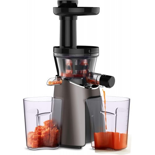  Moulinex ZU550A Power Juicer Saftpresse (150 Watt, 800 ml Kapazitat, 2 Filter) Bronze